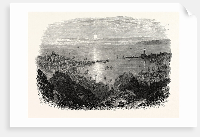 Genoa from the Heights by Anonymous
