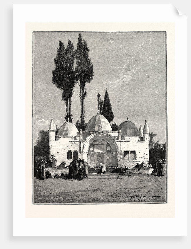 Fountain Near Jaffa by Anonymous