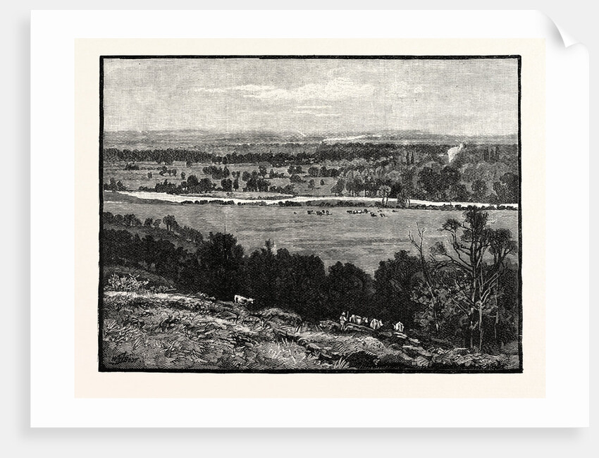 Runnymede from Cooper's Hill by Anonymous