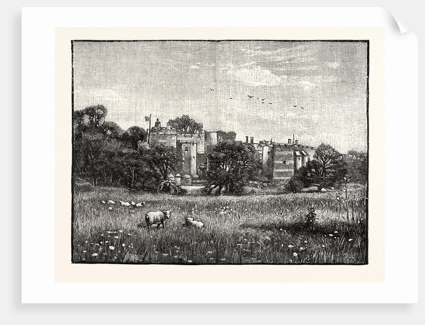 Berkeley Castle by Anonymous