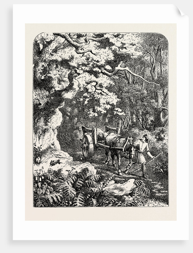 William's Corpse Borne to Its Burial by Anonymous