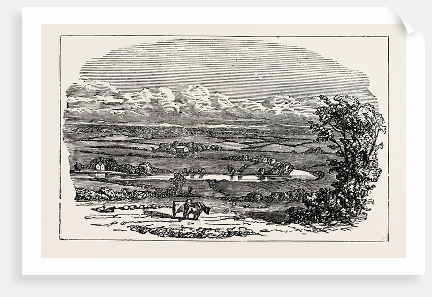 Runnymede by Anonymous