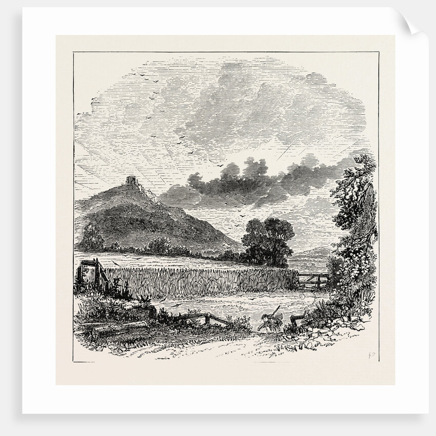 Field of the Battle of Shrewsbury. by Anonymous