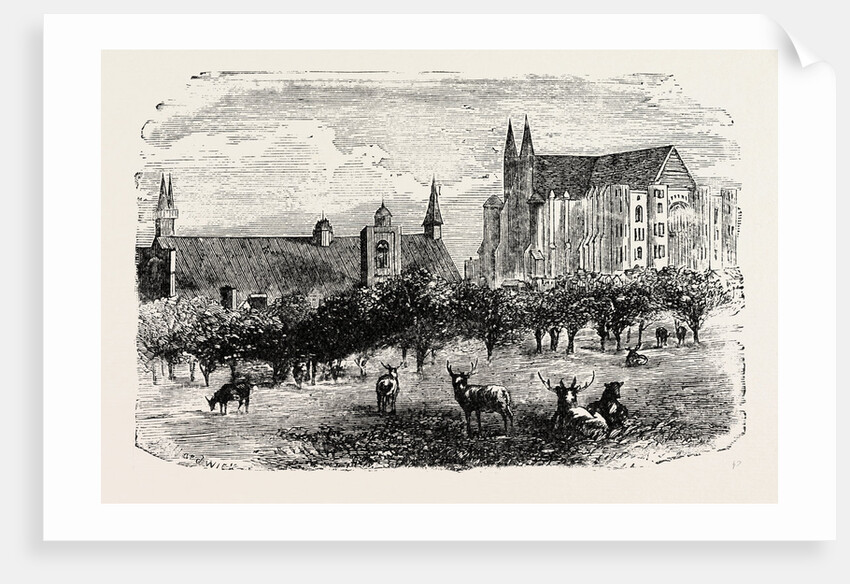 Westminster Abbey and Hall in the 15th Century. by Anonymous