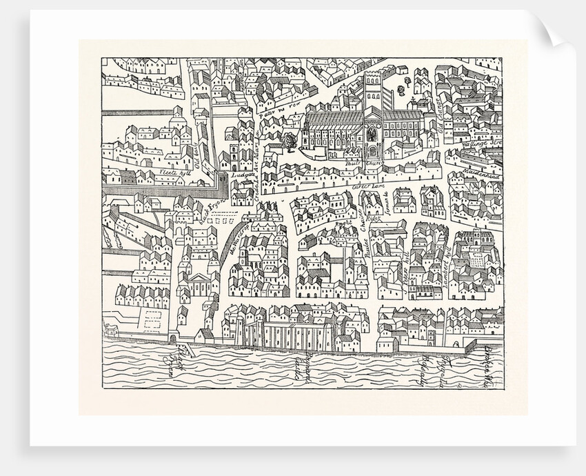 St. Paul's and Neighbourhood London by Anonymous