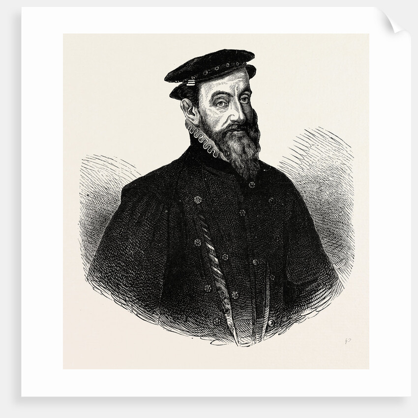 Sir Thomas Gresham by Anonymous