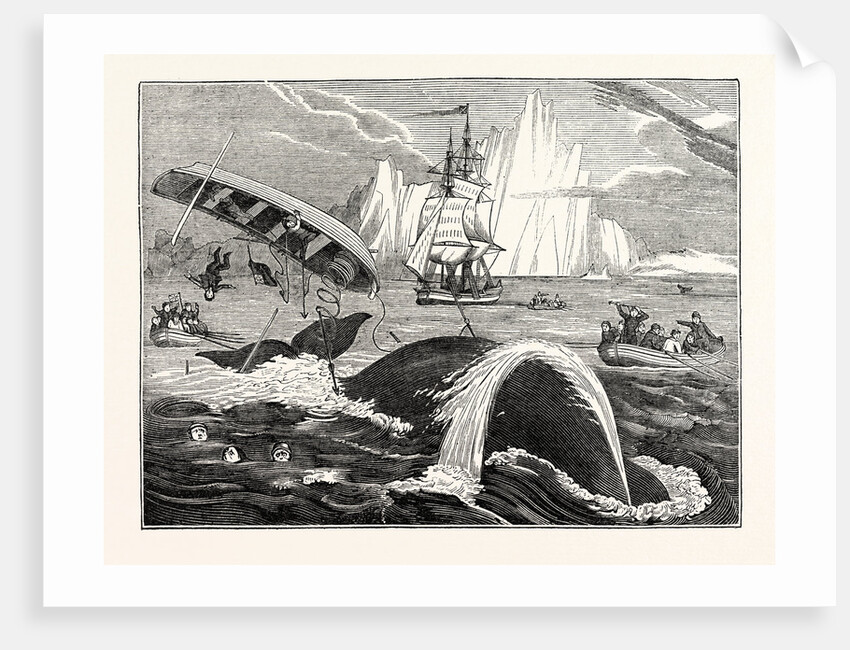 Dangers of the Whale Fishery by Anonymous