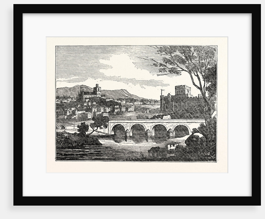 View of the City of Carlisle UK by Anonymous
