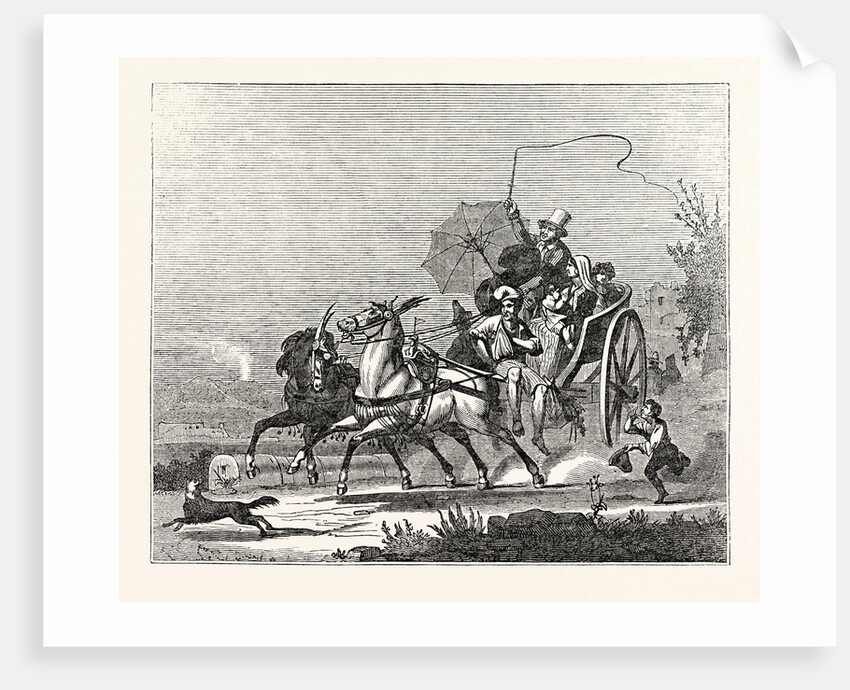 The Carriages of Naples: The Neapolitan Calesso by Anonymous