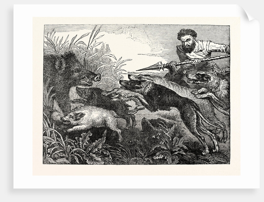 Wild Boar-Hunting by Anonymous