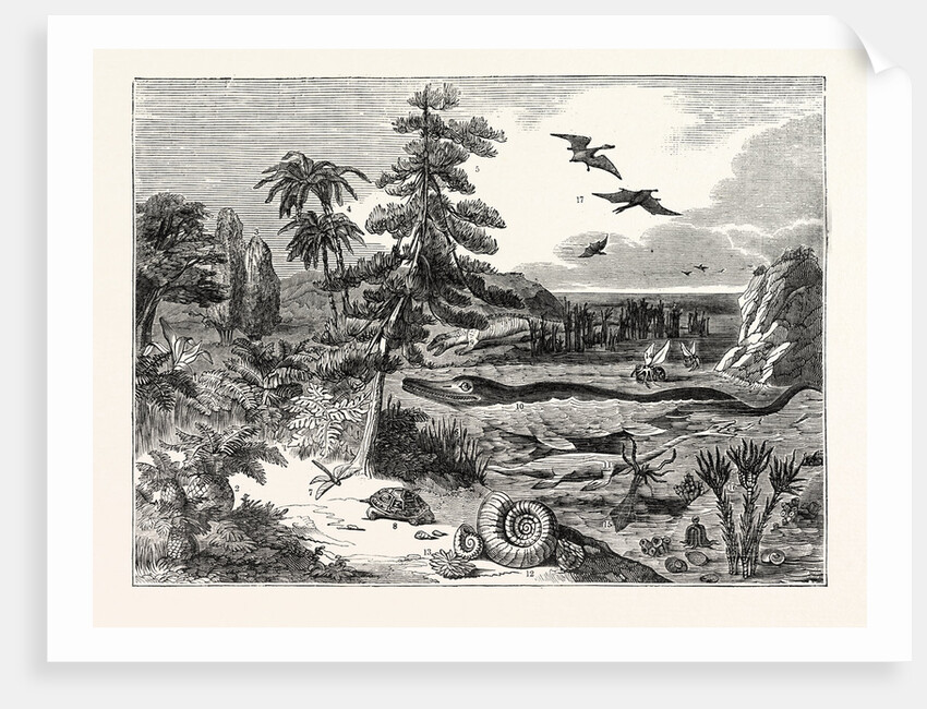 Organic Remains Restored by Anonymous