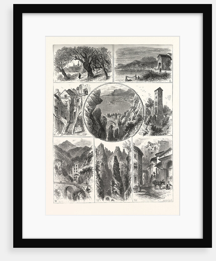 Views Mentone and Surrounding District by Anonymous