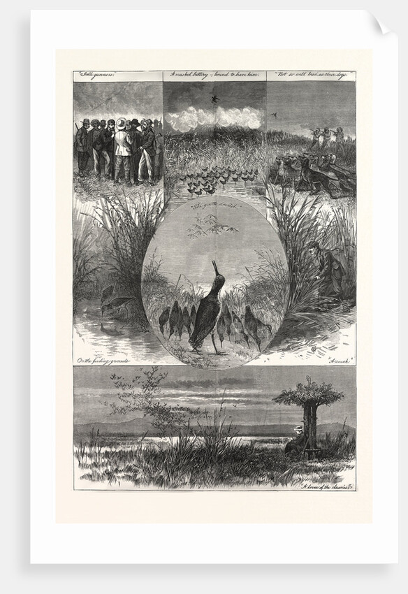 The Snipe, Drawing Gaston Fay by Anonymous