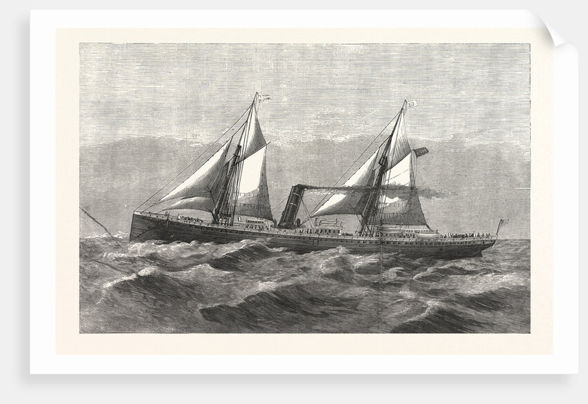 New Steam-Ship Newport, Ward's Havana Line by Anonymous