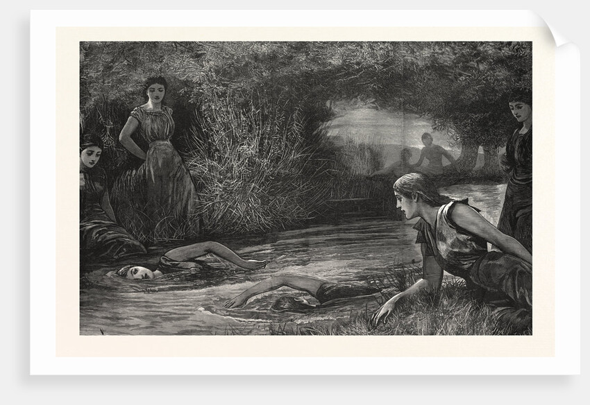 Swimming a La Mode by Anonymous