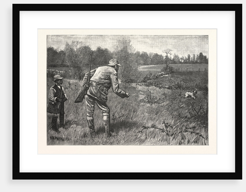 Gun Shy Drawn A. B. Frost by Anonymous