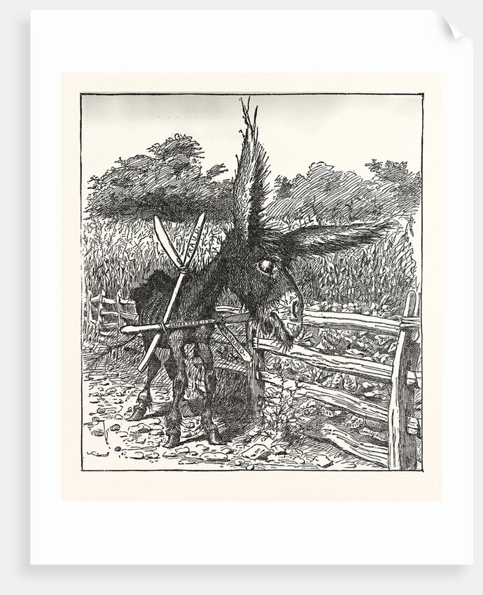 Hungry Democracy the Greatest Faster Record by Anonymous