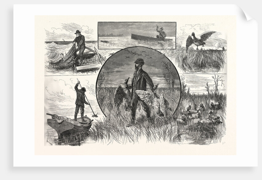 Cruelties Practised on Fish and Fowl by Anonymous