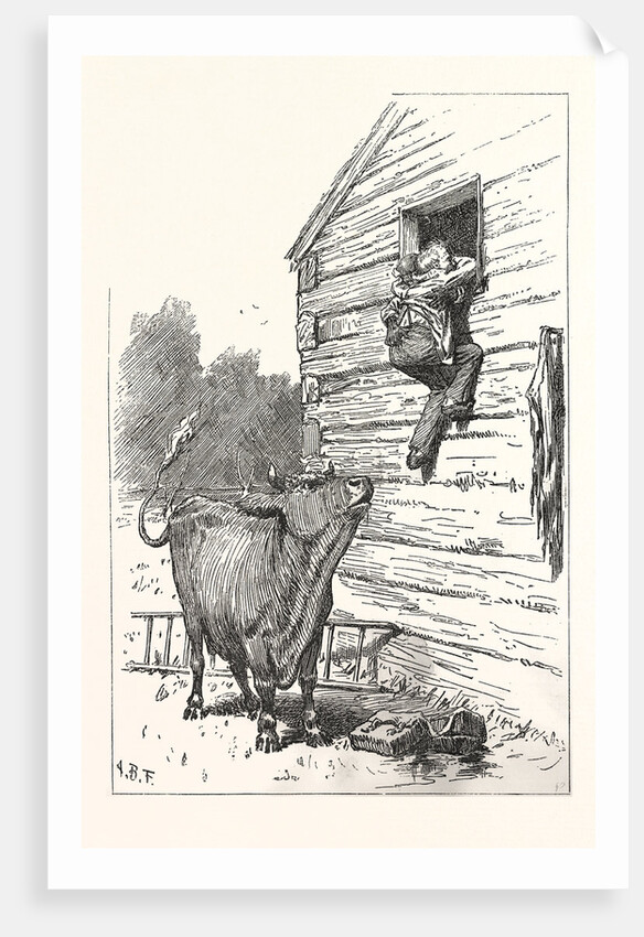 Hold Cried the Doctor by Anonymous