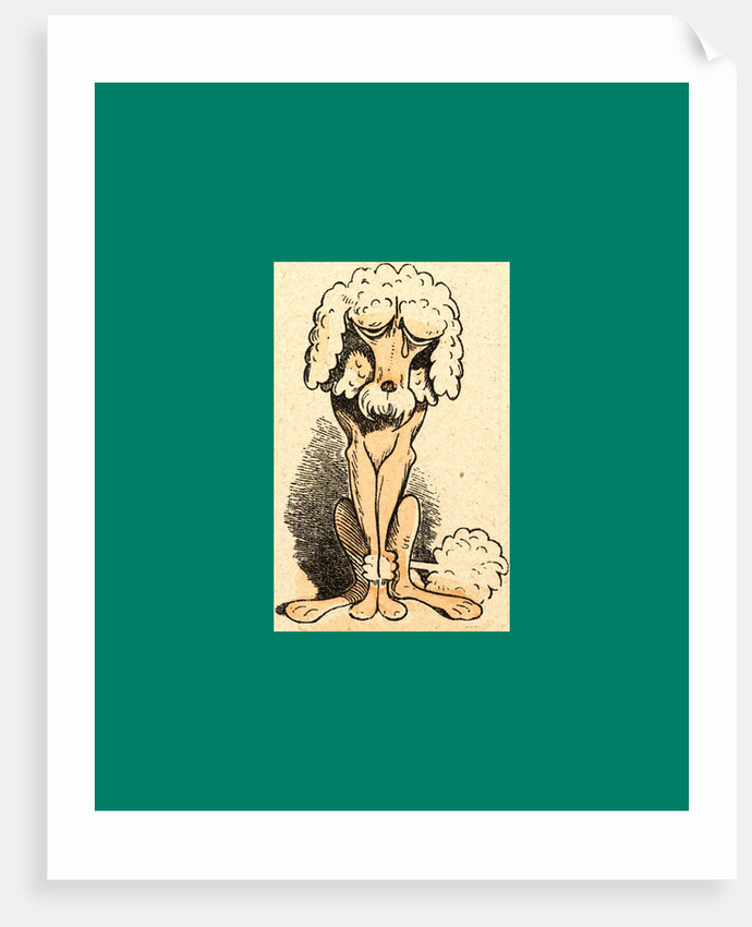 Schnaken and Schnurren, 1866, Mosquitoes and Purring by Anonymous