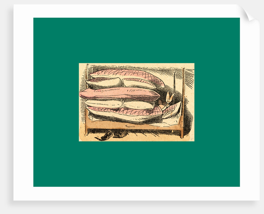 Schnaken and Schnurren, 1866, Mosquitoes and Purring by Anonymous