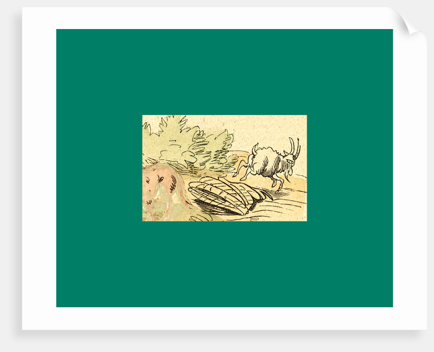 Schnaken and Schnurren, 1866, Mosquitoes and Purring by Anonymous