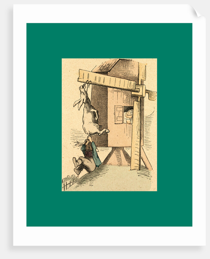 Schnaken and Schnurren, 1866, Mosquitoes and Purring by Anonymous