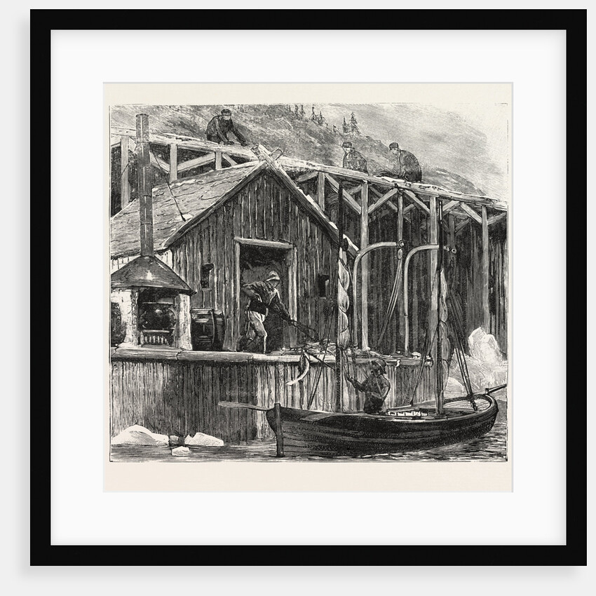 The Newfoundland Fisheries Question: British Fishing Room on the French Shore, Canada by Anonymous