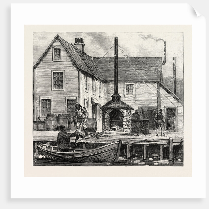 The Newfoundland Fisheries Question: Newfoundland Lobster Factory on the French Shore, Canada by Anonymous