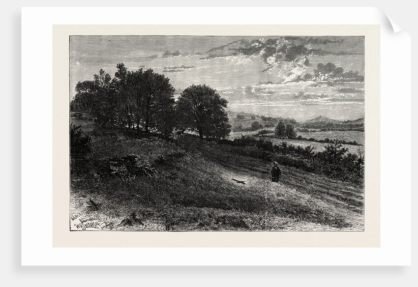Near Evershed's Rough, Scene of the Fatal Accident to the Lord Bishop of Winchester by Anonymous