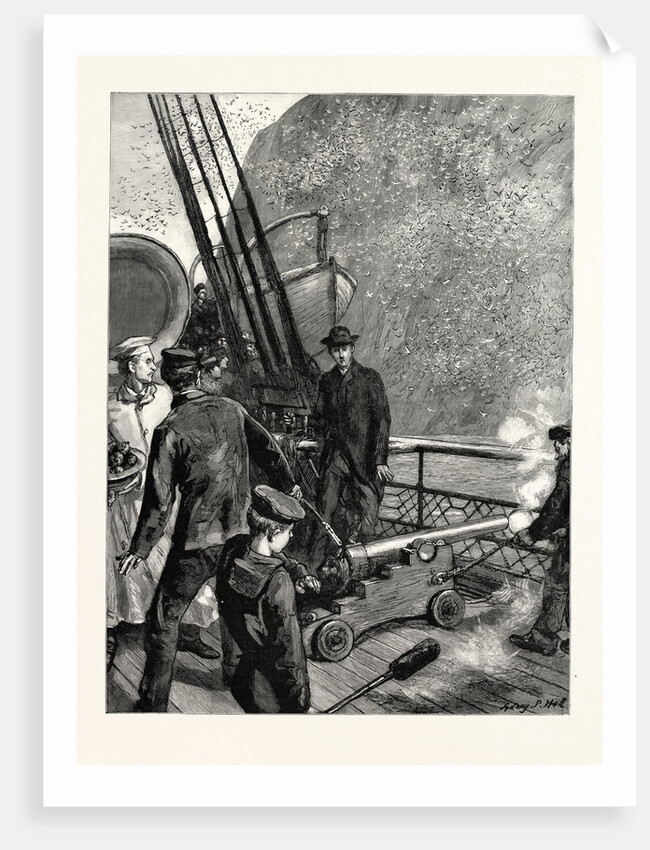 A Trip to Norway on Board the Orient Line Steamship Garonne: Startling the Natives on Bass Rock, Maritime by Anonymous