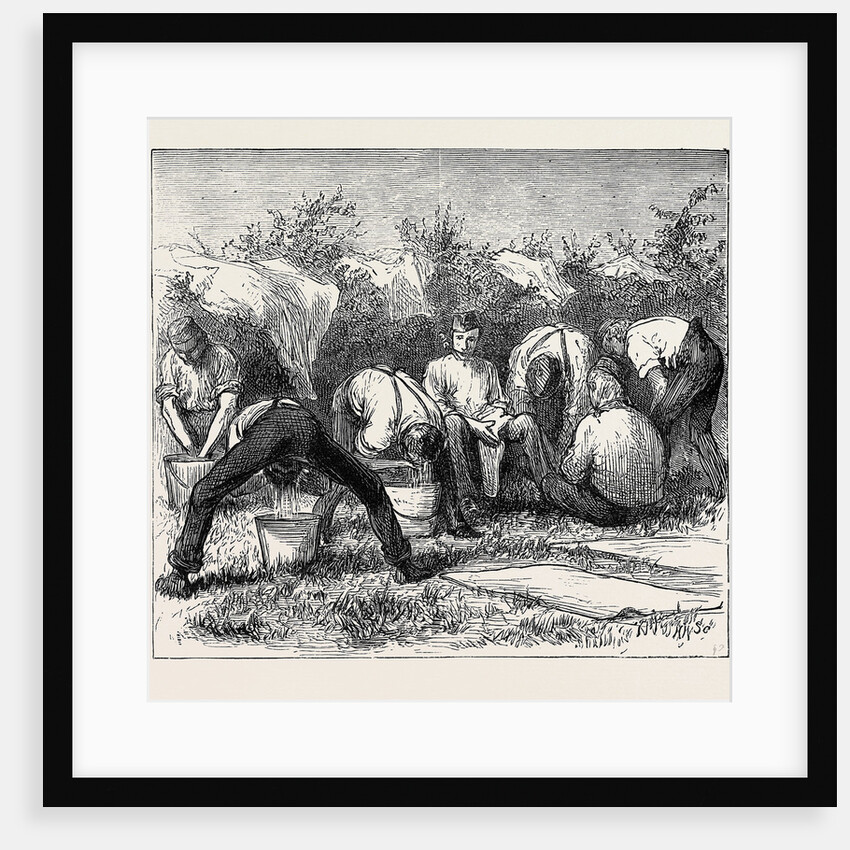 Sketches at the Autumn Manoeuvres: Saturday Night in Camp by Anonymous