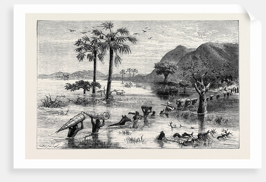 How I Found Livingstone: Discomforts of African Travel: The Makata Swamp by Anonymous