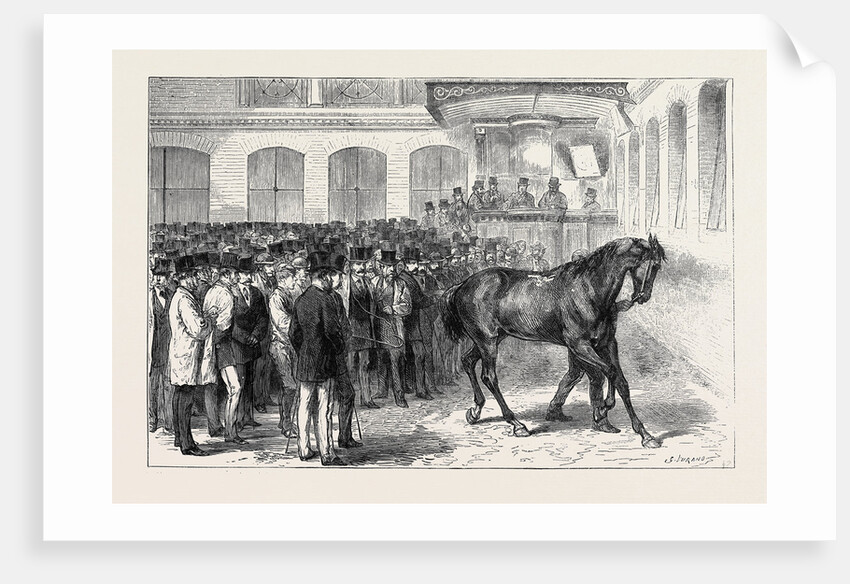 Sale of the Horses of the Tenth Hussars at Tattersall's: Crusader Under the Hammer by Anonymous