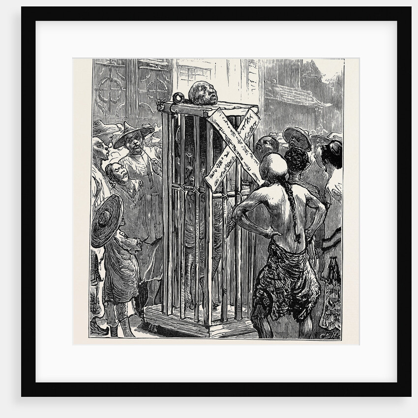 Life in China: Death in the Cage by Anonymous