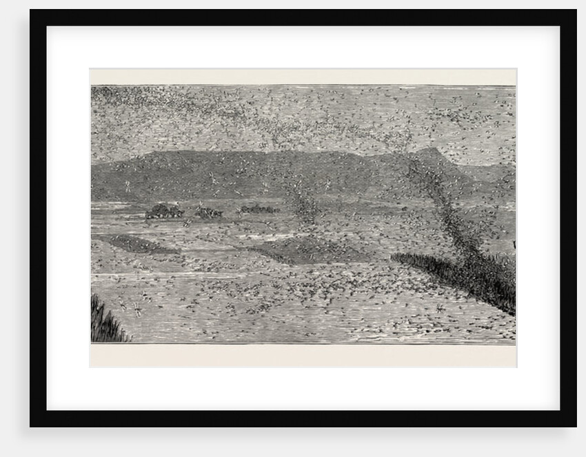 The Locust Plague in Northern India: Villagers Driving a Flight of Locusts from the Crops by Anonymous