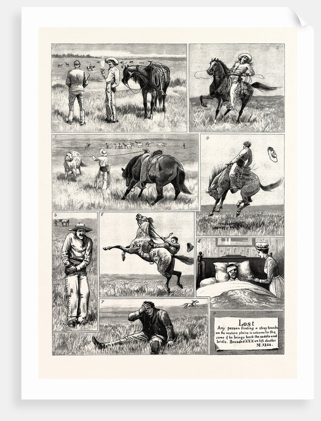 My First and Last Experience of a Broncho by Anonymous