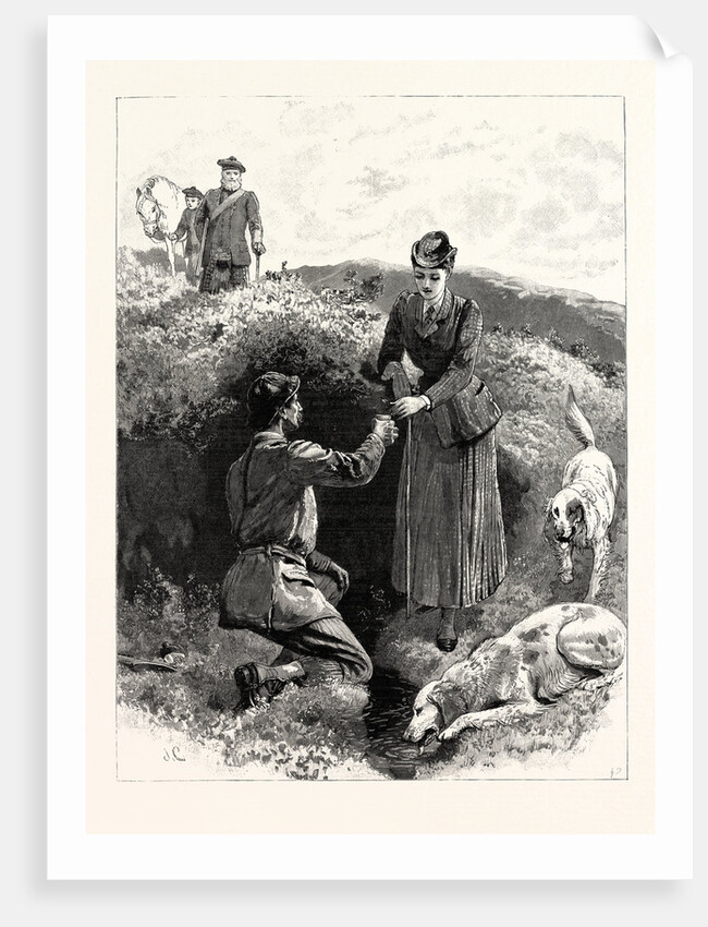 Grouse Shooting on the Moors: The Cup that Cheers, But Not Inebriates by Anonymous