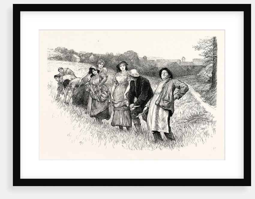 Tess of the D'Urbervilles: This Here Stooping Do Fairly Make My Back Open and Shut, Exclaimed the Dairyman by Anonymous