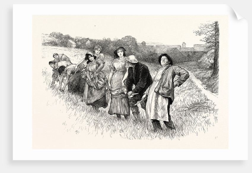 Tess of the D'Urbervilles: This Here Stooping Do Fairly Make My Back Open and Shut, Exclaimed the Dairyman by Anonymous