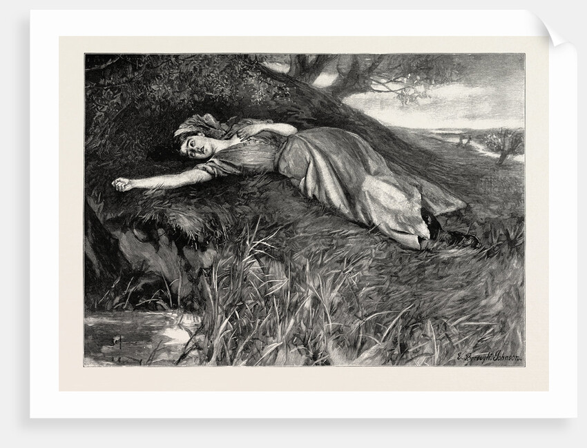 Tess of the D'Urbervilles: Tess Flung Herself Down Upon the Undergrowth of Rustling Spear-Grass As Upon a Bed by Anonymous