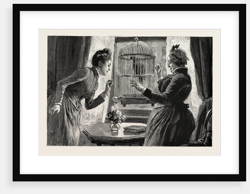 The Parrot and the Cabbies, an Incident at a Seaside Holiday Resort: The Cause (the Parrot Has Taught Itself the Cab Whistle) by Anonymous