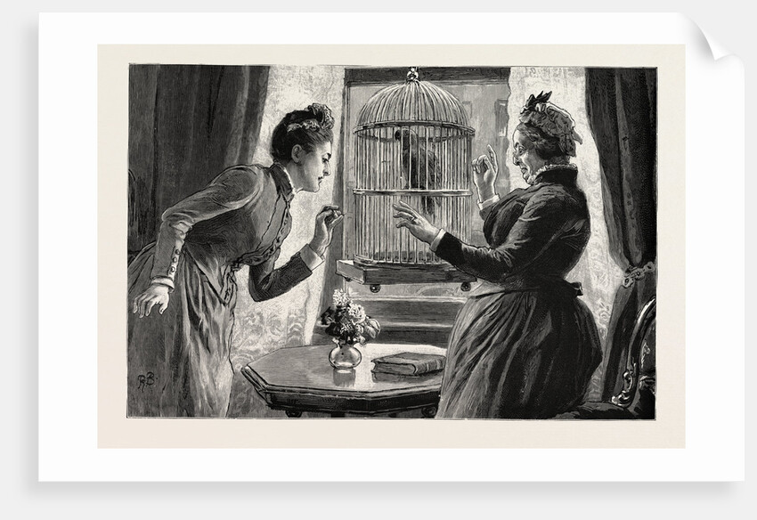The Parrot and the Cabbies, an Incident at a Seaside Holiday Resort: The Cause (the Parrot Has Taught Itself the Cab Whistle) by Anonymous