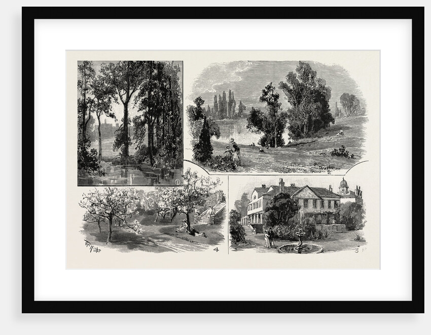 Sketches in Waterlow Park, which Has Been Presented to the Public by Sir Sydney Waterlow by Anonymous