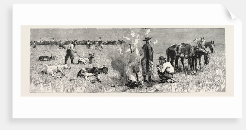Sketches of Life on an Estancia in the Argentine Republic: The Capataz, or Overseer, Branding the Calves by Anonymous