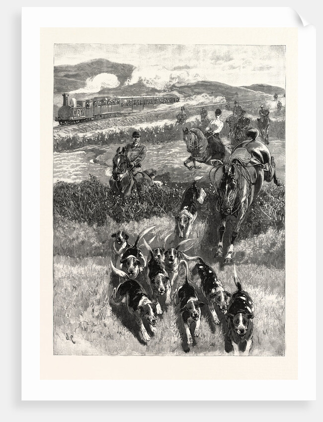 Following the Hounds by Train; New Zealand by Anonymous