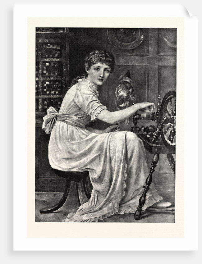 The Spinster by Anonymous