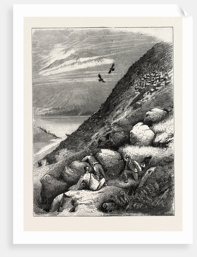 Above Loch Ettive a Bad Miss after a Long Stalk by Anonymous