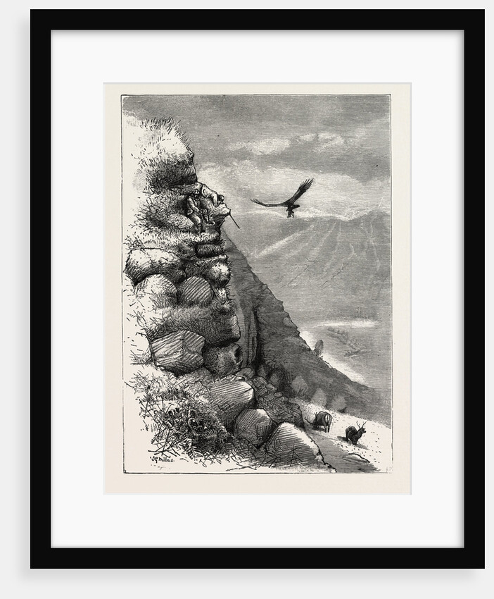 Deer Stalking in the Forest of the Black Mount, Argyllshire: Trying to Get a Comfortable Position by Anonymous