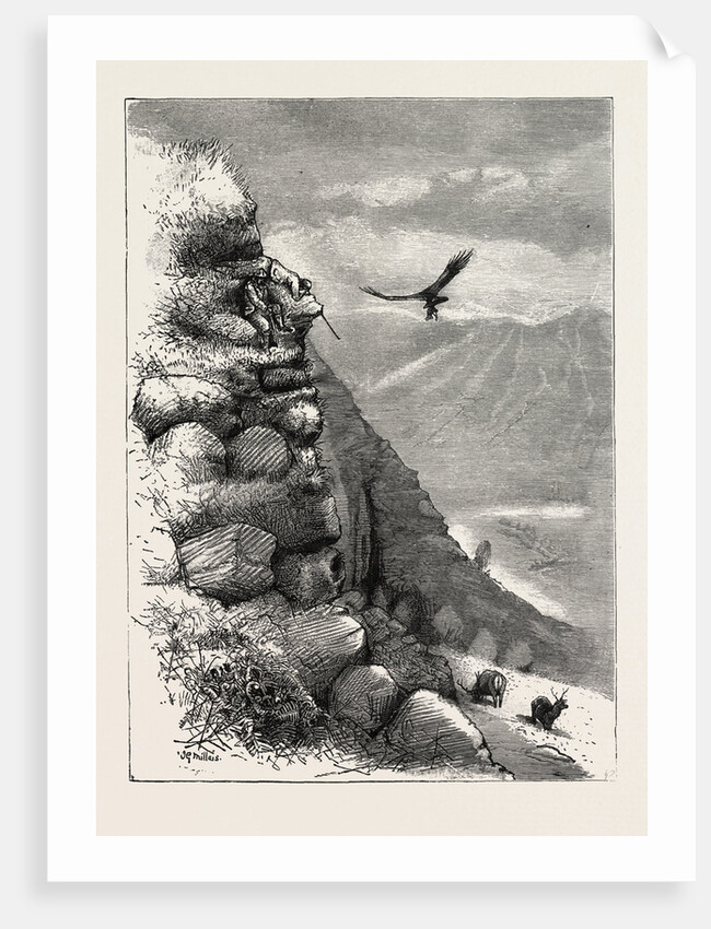 Deer Stalking in the Forest of the Black Mount, Argyllshire: Trying to Get a Comfortable Position by Anonymous